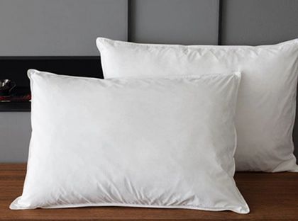 Swissôtel duck feather & down pillow